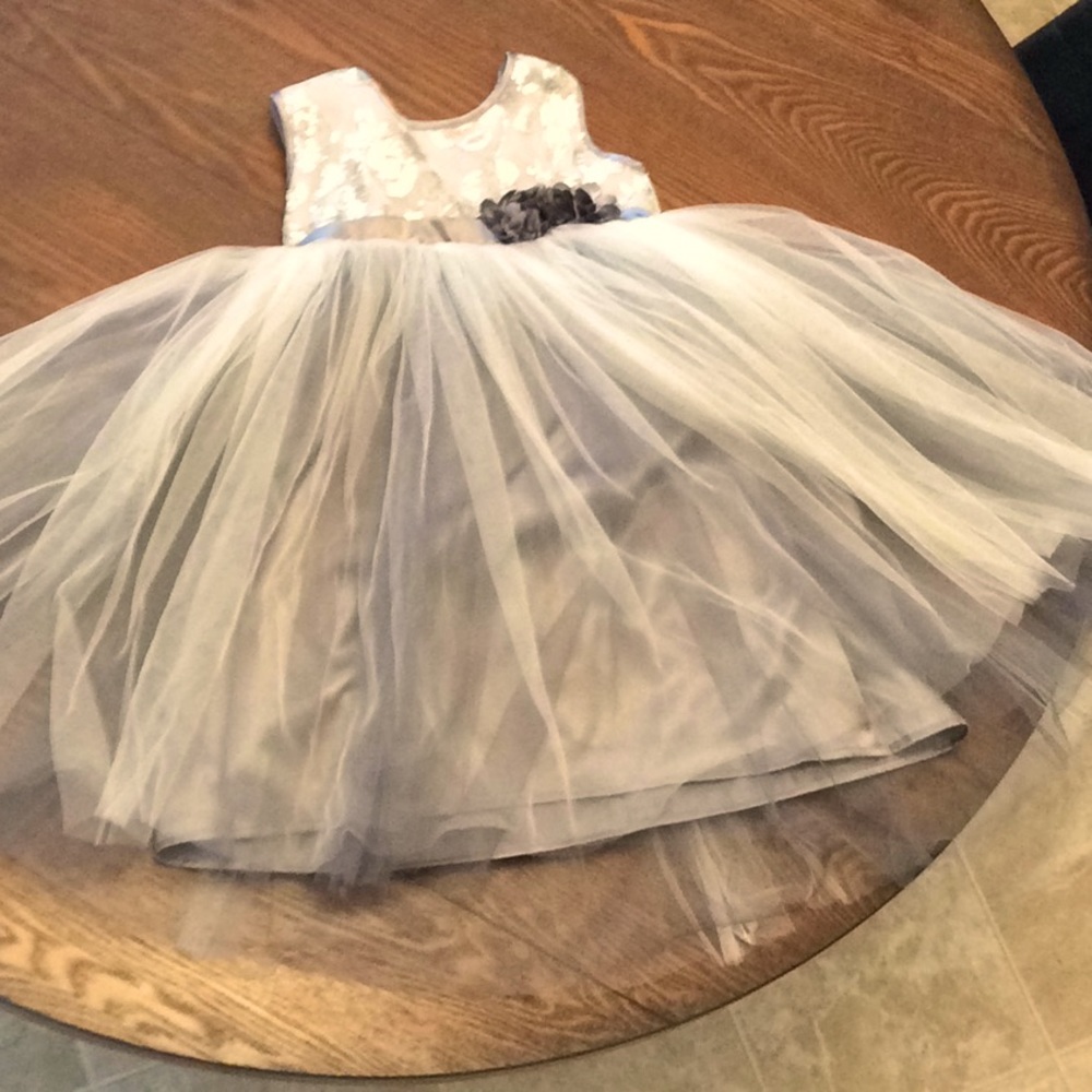 Beautiful silver and tule party/holiday dress.